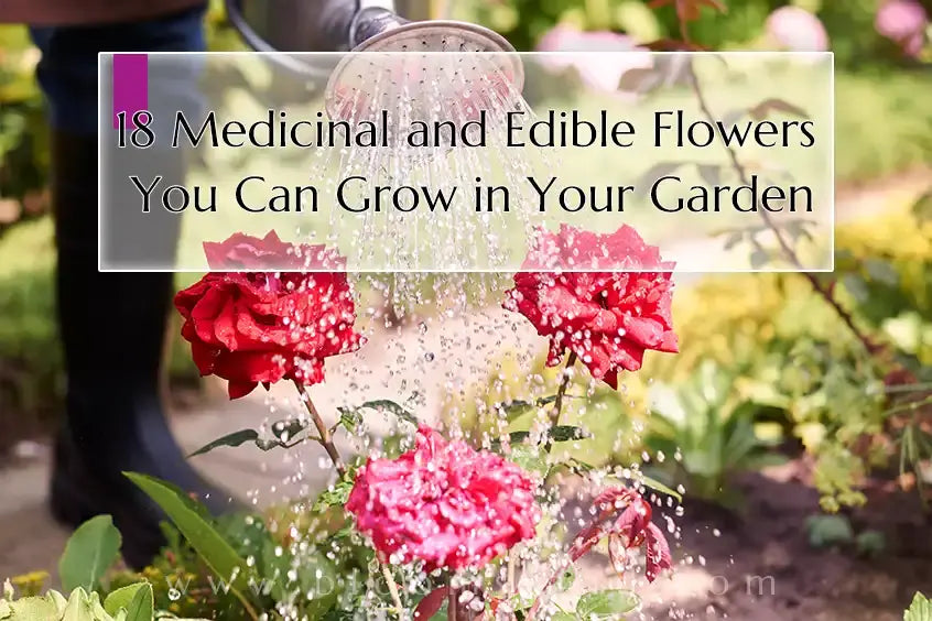 medicinal and edible flowers