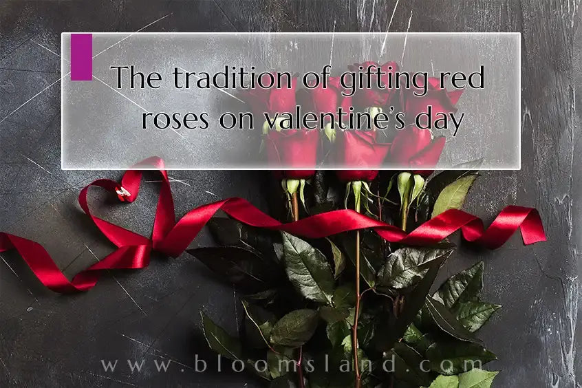 gifting_red_roses_on_valentine’s_day