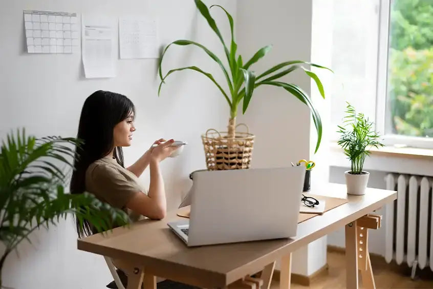 petals-and-productivity-in-workplace