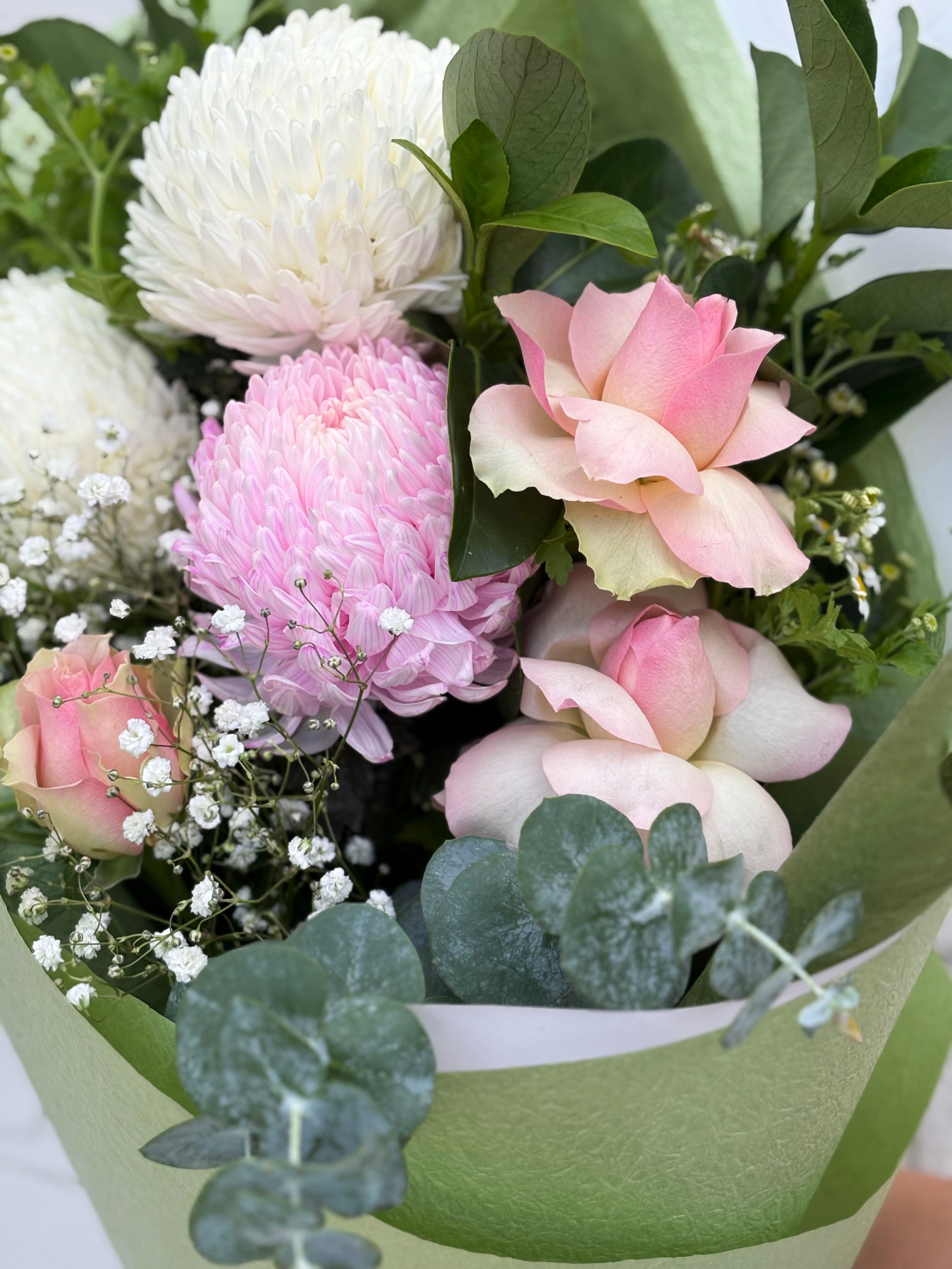 Blushing Bloom