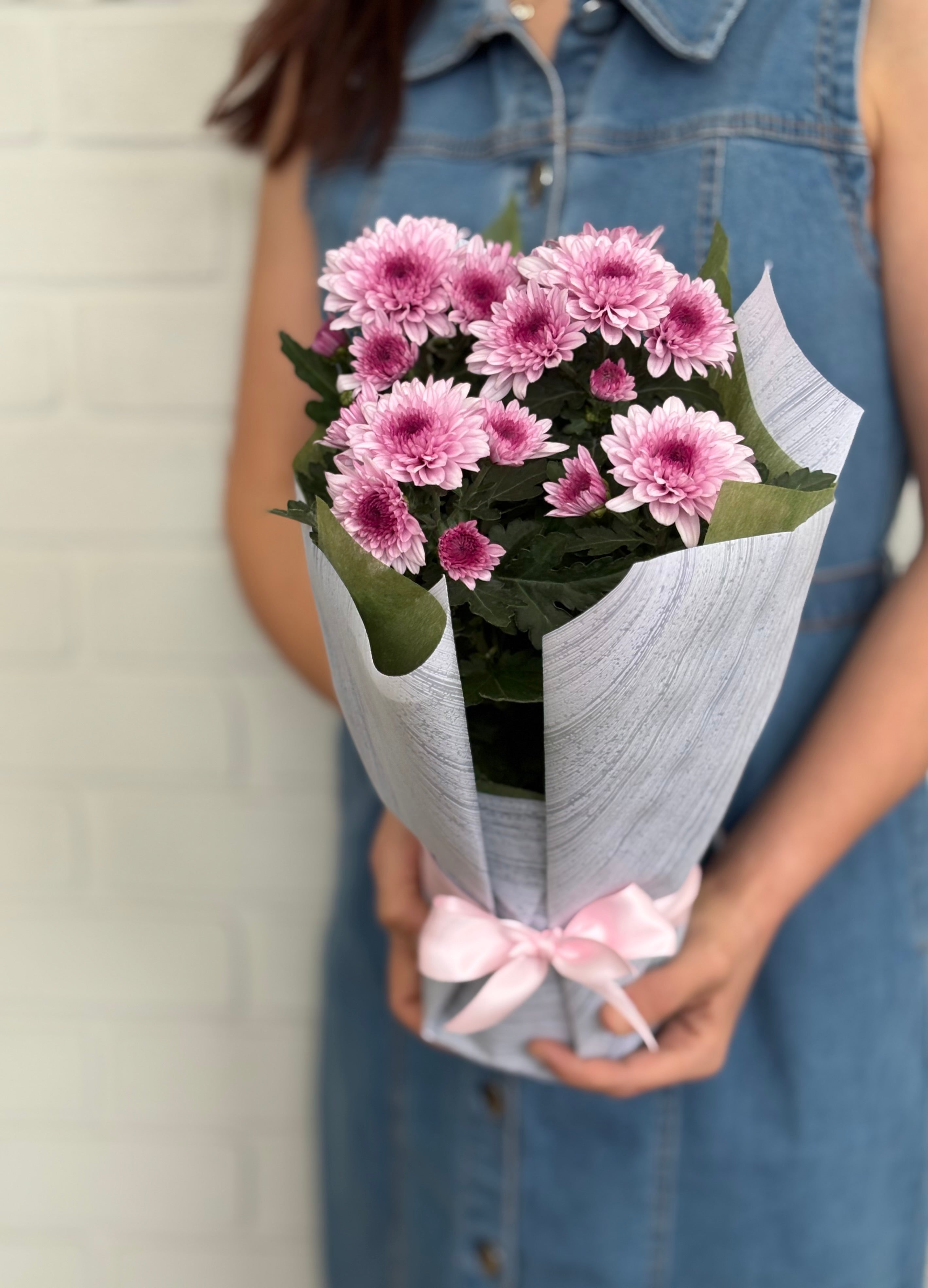 Blushing Pink Chrysanthemums