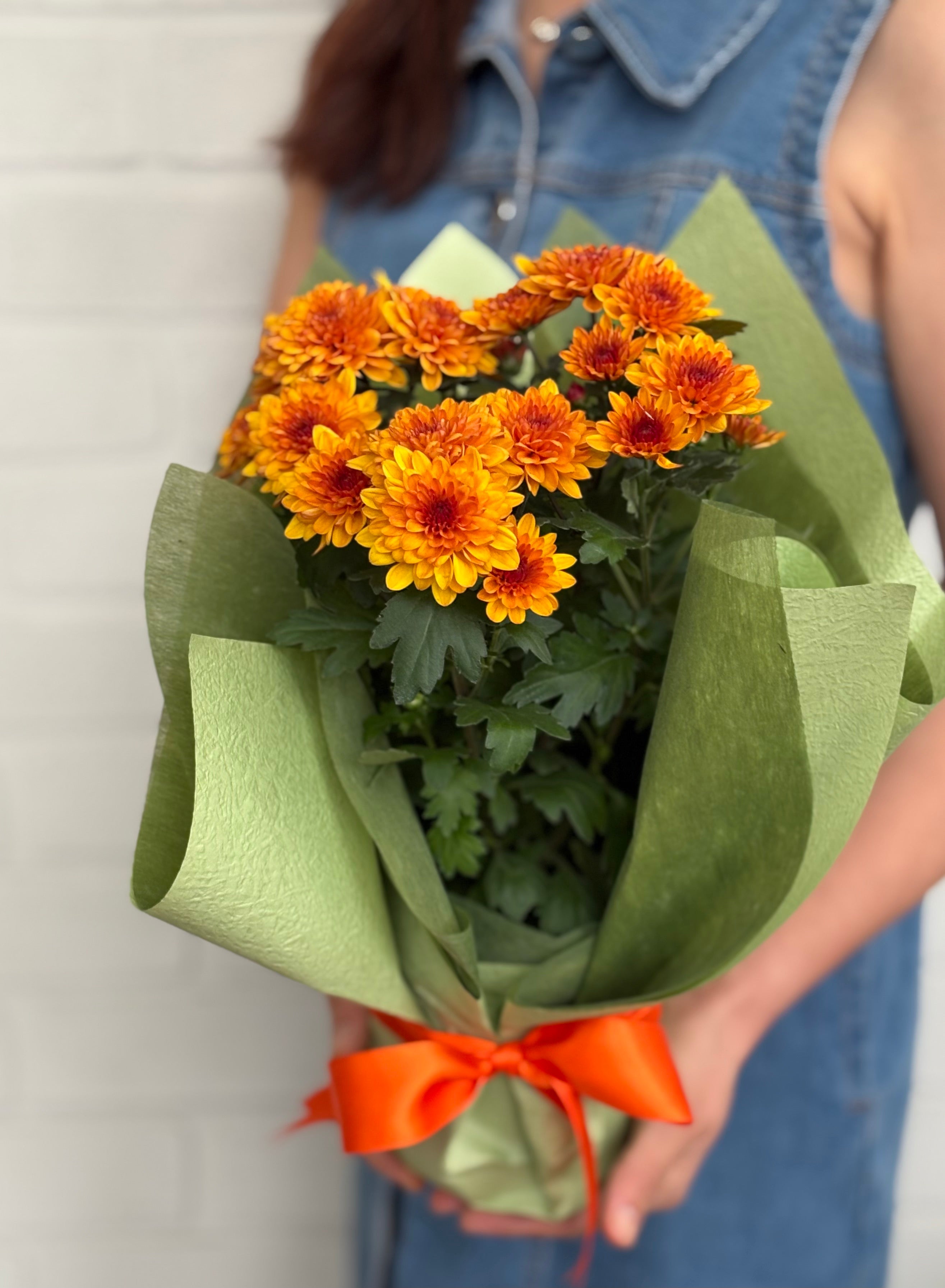 Fiery Sunset Chrysanthemums
